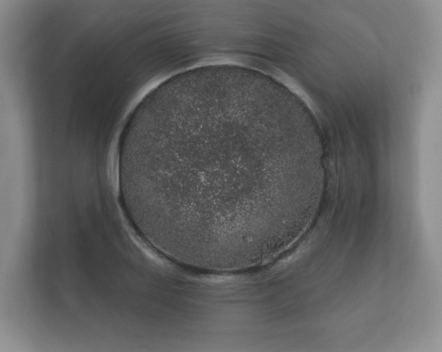 X0000112381127200908201517