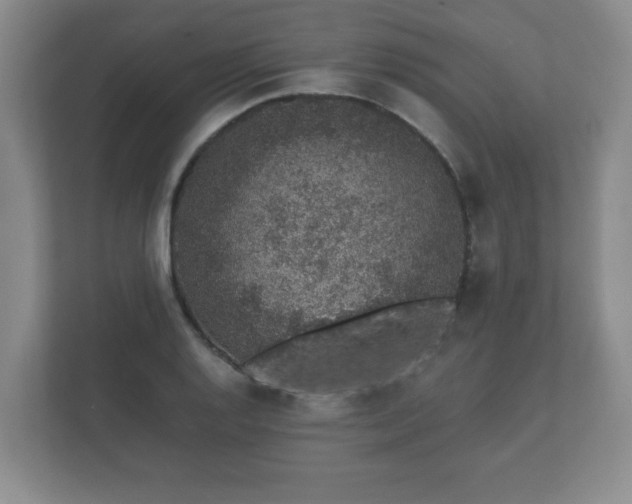 X0000112381128200908201517