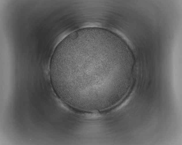 X0000112381129200908201517