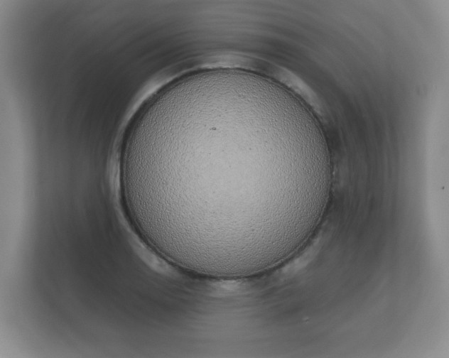 X0000112381130200908201517