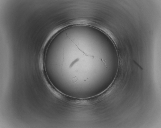 X0000112381131200908201517