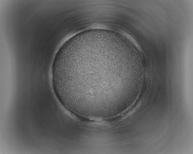 X0000112381133200908201517