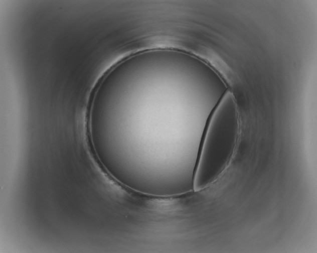 X0000112381134200908201517