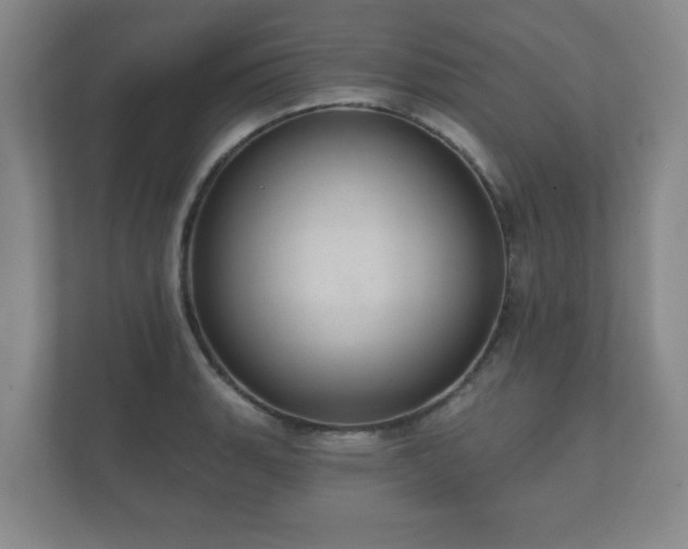 X0000112381135200908201517