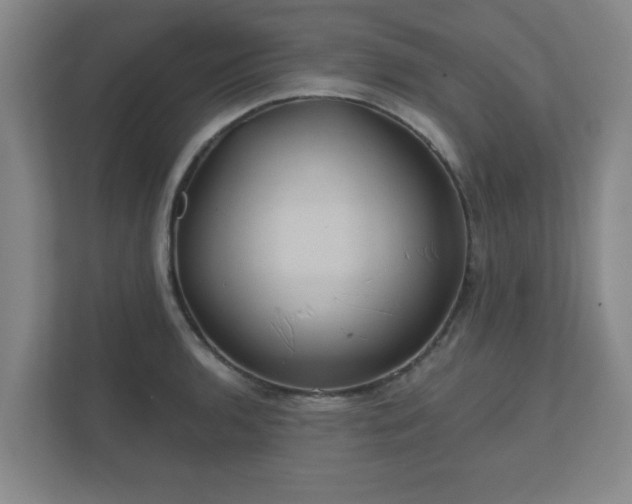 X0000112381136200908201517