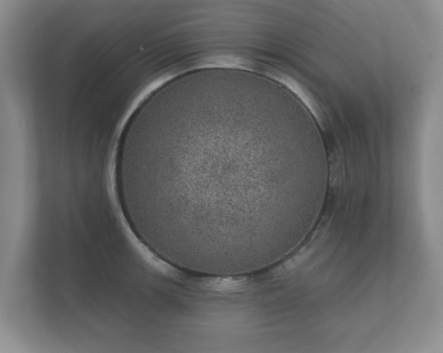 X0000112381139200908201517