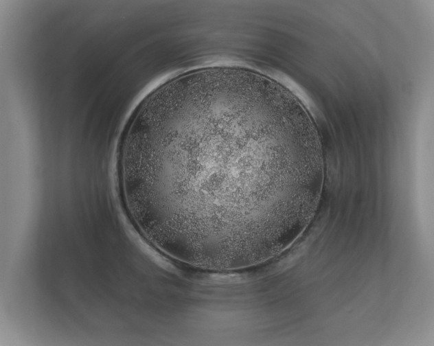 X0000112381142200908201517