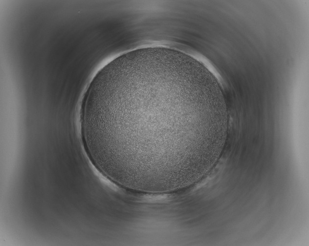 X0000112381143200908201517