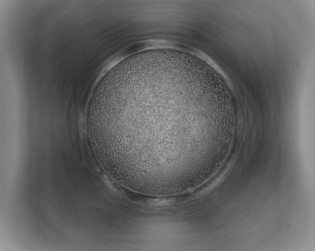 X0000112381145200908201517