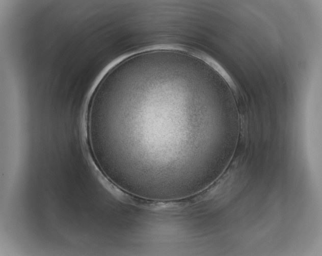 X0000112381148200908201517