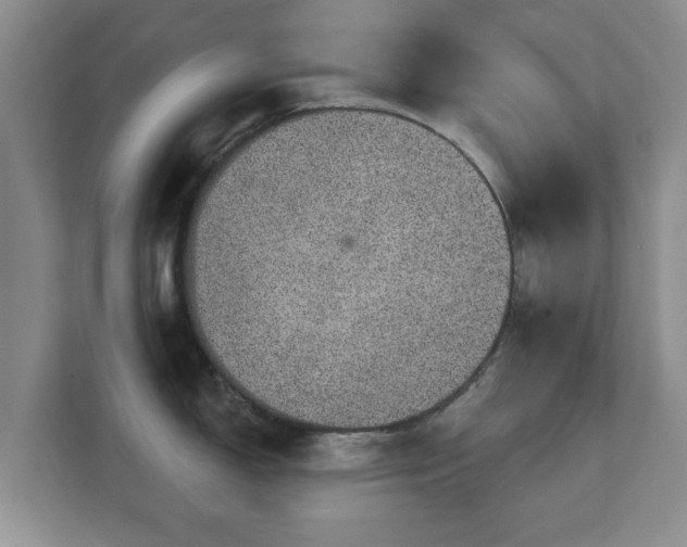 X0000112381150200908201517