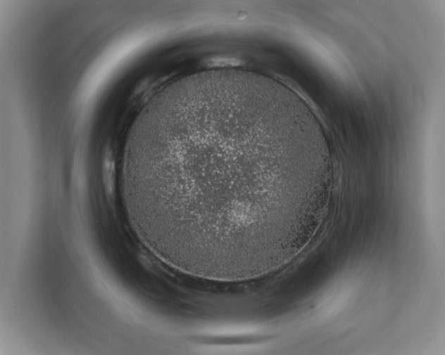 X0000112381151200908201517