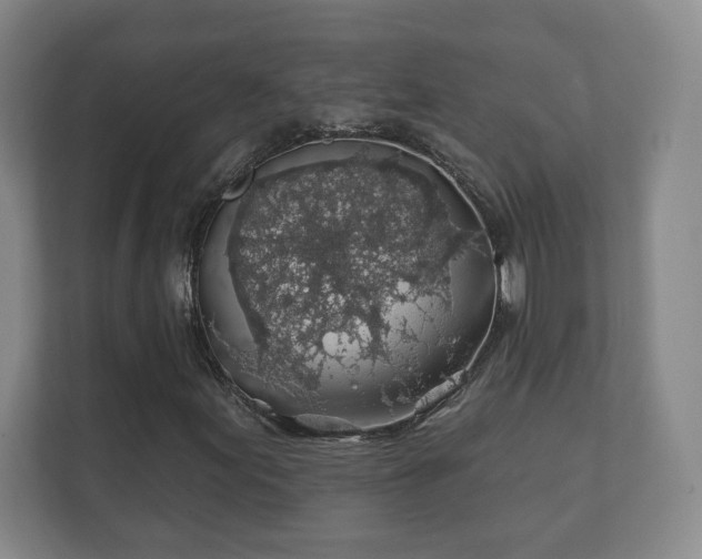 X0000112381155200908201516