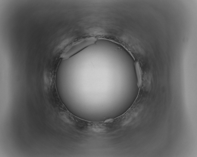 X0000112381157200908201516