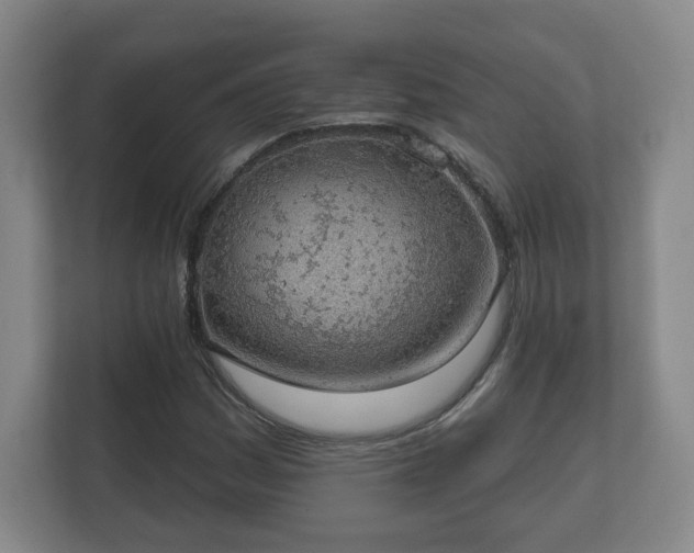 X0000112381161200908201516