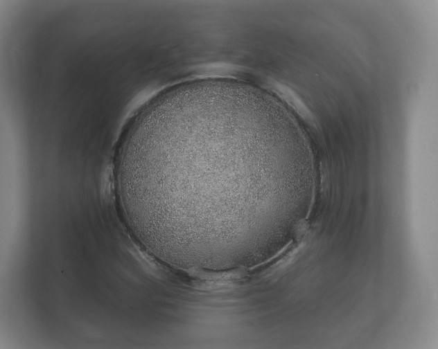 X0000112381164200908201516