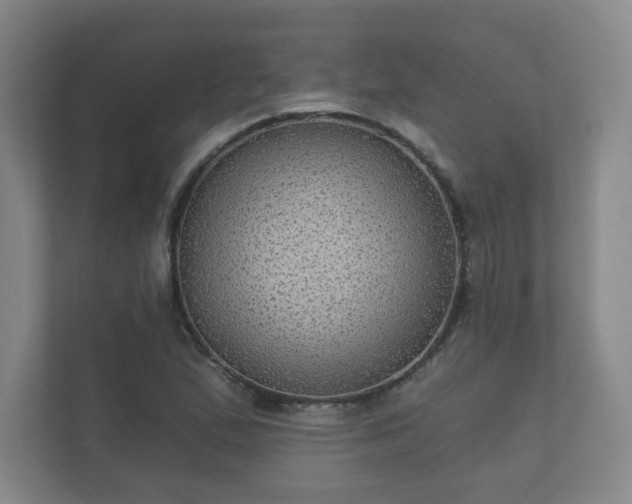 X0000112381167200908201516