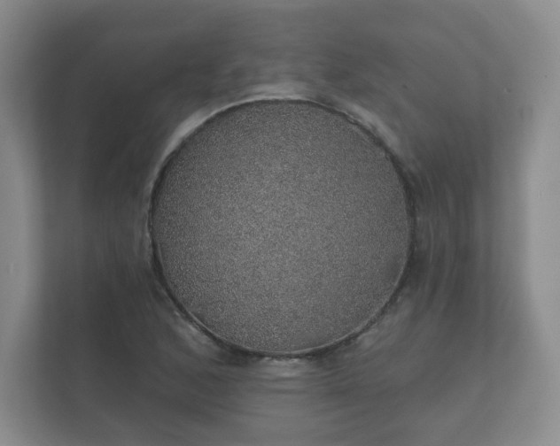 X0000112381168200908201516