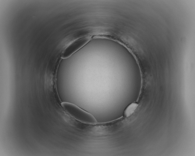 X0000112381169200908201516