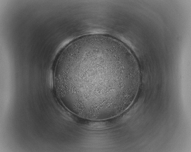 X0000112381171200908201516