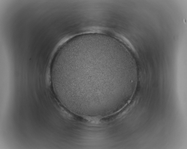 X0000112381172200908201516