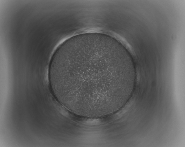 X0000112381174200908201516