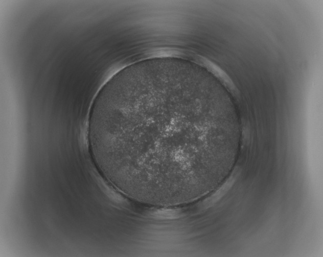 X0000112381178200908201516