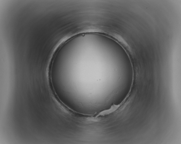 X0000112381181200908201516