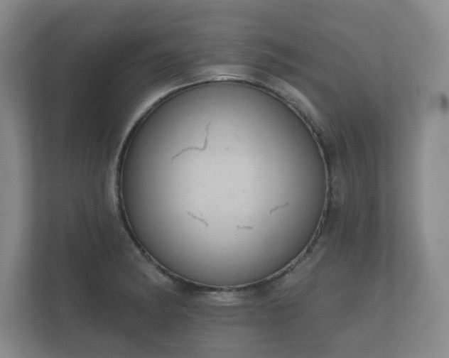 X0000112381182200908201516