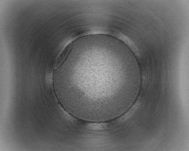 X0000112381185200908201516