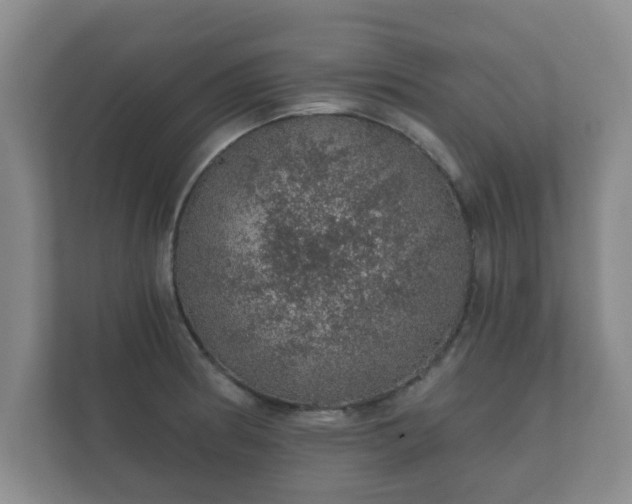 X0000112381186200908201516