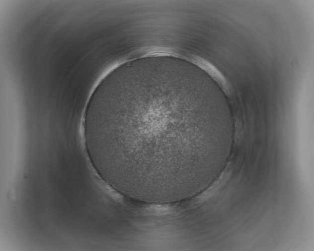 X0000112381190200908201516