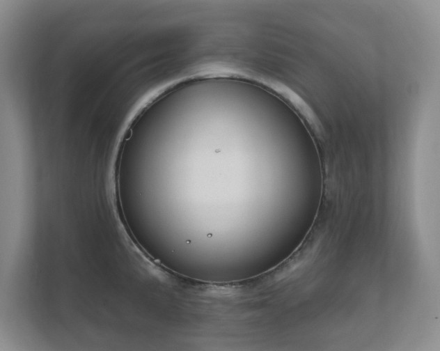 X0000112381191200908201516