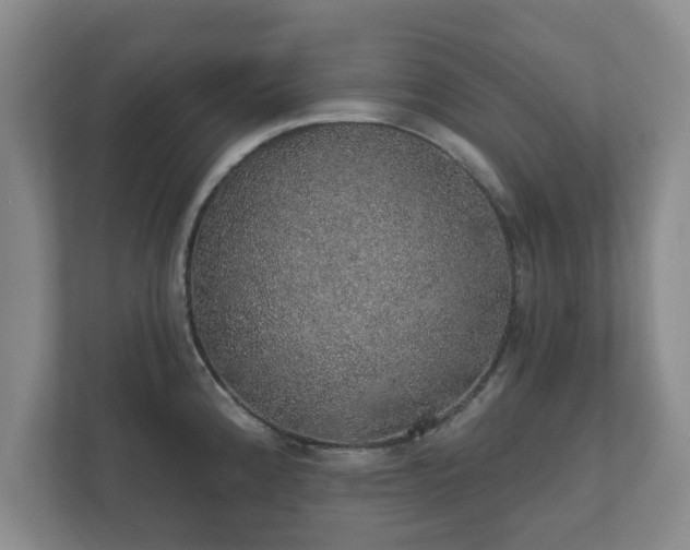 X0000112381192200908201516