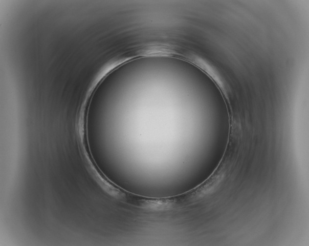 X0000112381195200908201516