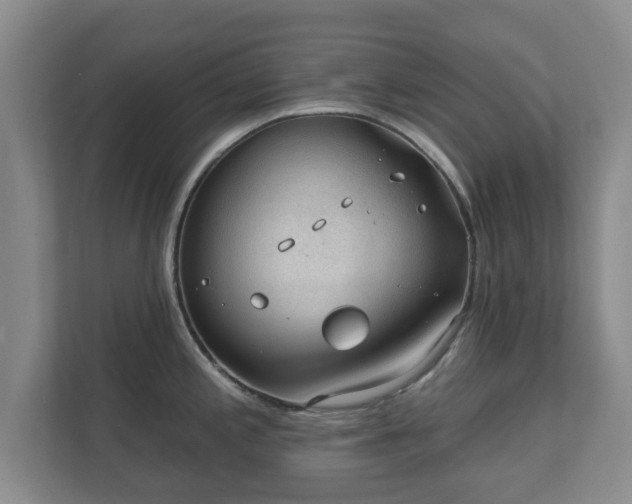 X0000112381197200908201516