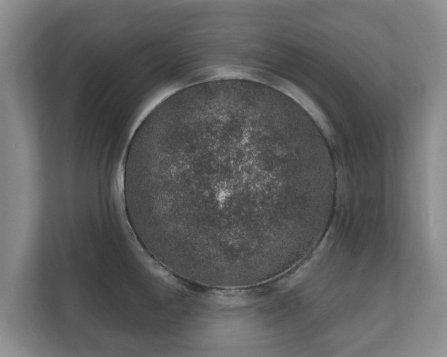 X0000112381198200908201516