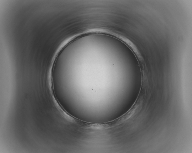 X0000112381199200908201516