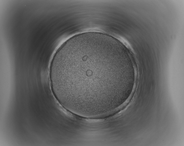 X0000112381200200908201516