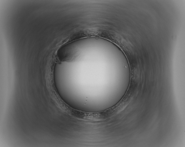 X0000112381201200908201515