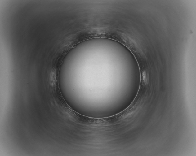 X0000112381203200908201515