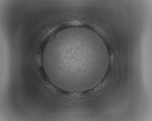 X0000112381205200908201515