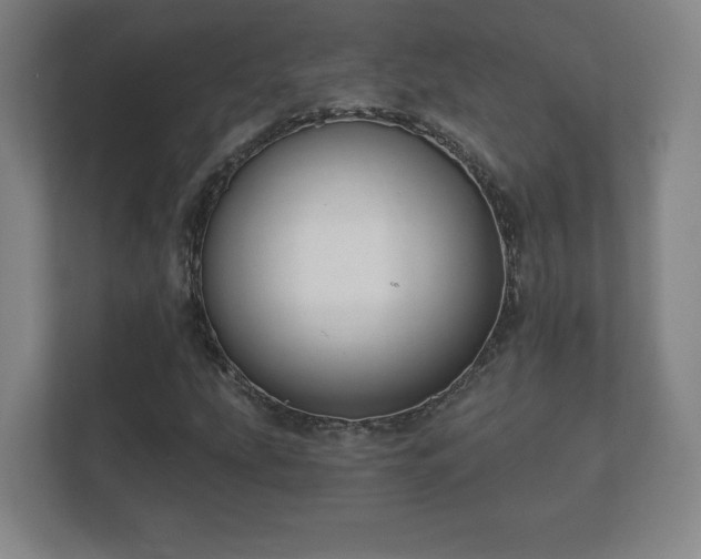 X0000112381207200908201515