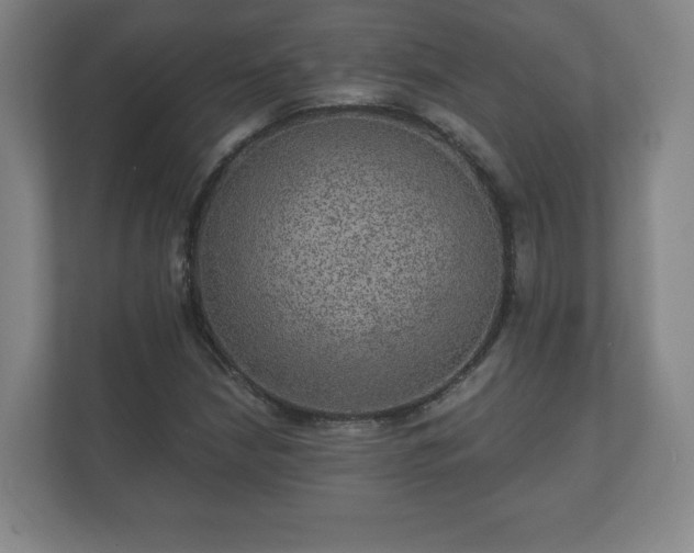 X0000112381210200908201515