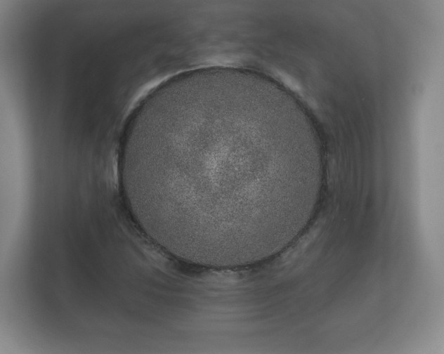 X0000112381214200908201515