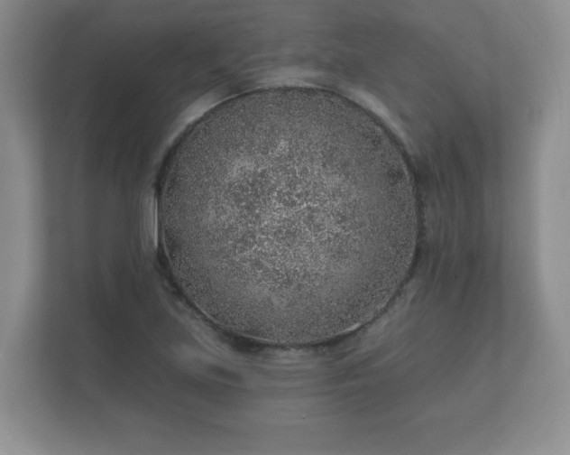 X0000112381219200908201515