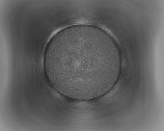 X0000112381222200908201515