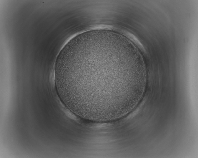 X0000112381228200908201515