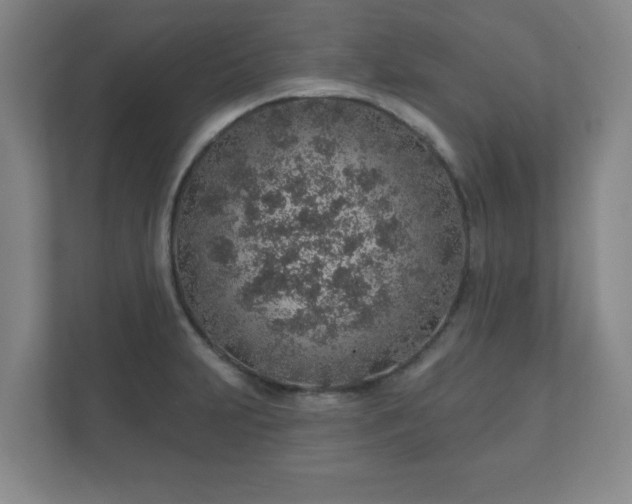 X0000112381231200908201516