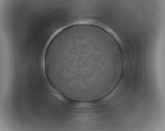 X0000112381232200908201516